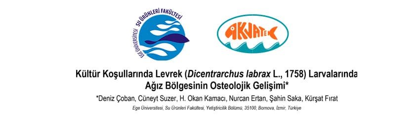 Read more about the article Kültür Koşullarında Levrek Larvalarında Ağız Bölgesinin Osteolojik Gelişimi