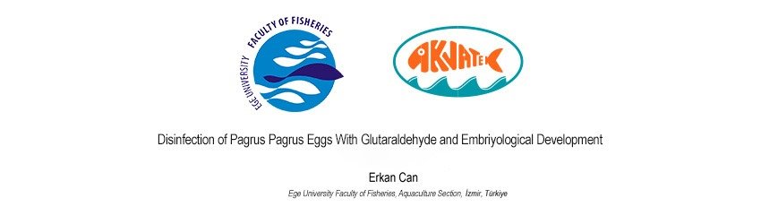 Read more about the article Disinfection of Pagrus Pagrus Eggs With Glutaraldehyde and Embriyological Development