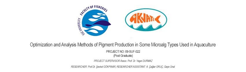 Read more about the article Optimization and Analysis Methods of Pigment Production in Some Microalg Types Used in Aquaculture