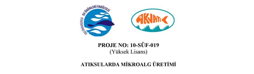 Read more about the article Atıksularda Mikroalg Üretimi