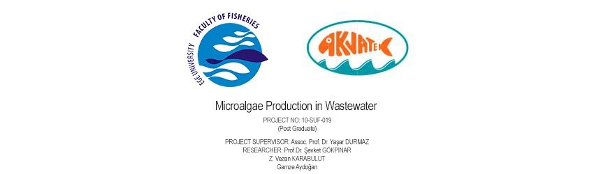 Read more about the article Microalgae Production in Wastewater